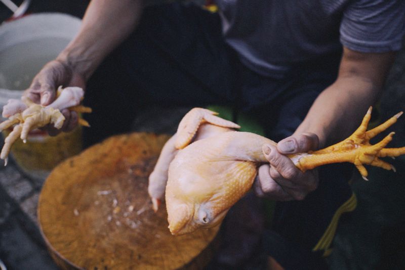 Pilons de poulet